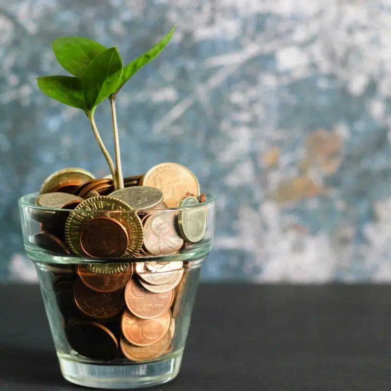 a vase of coins