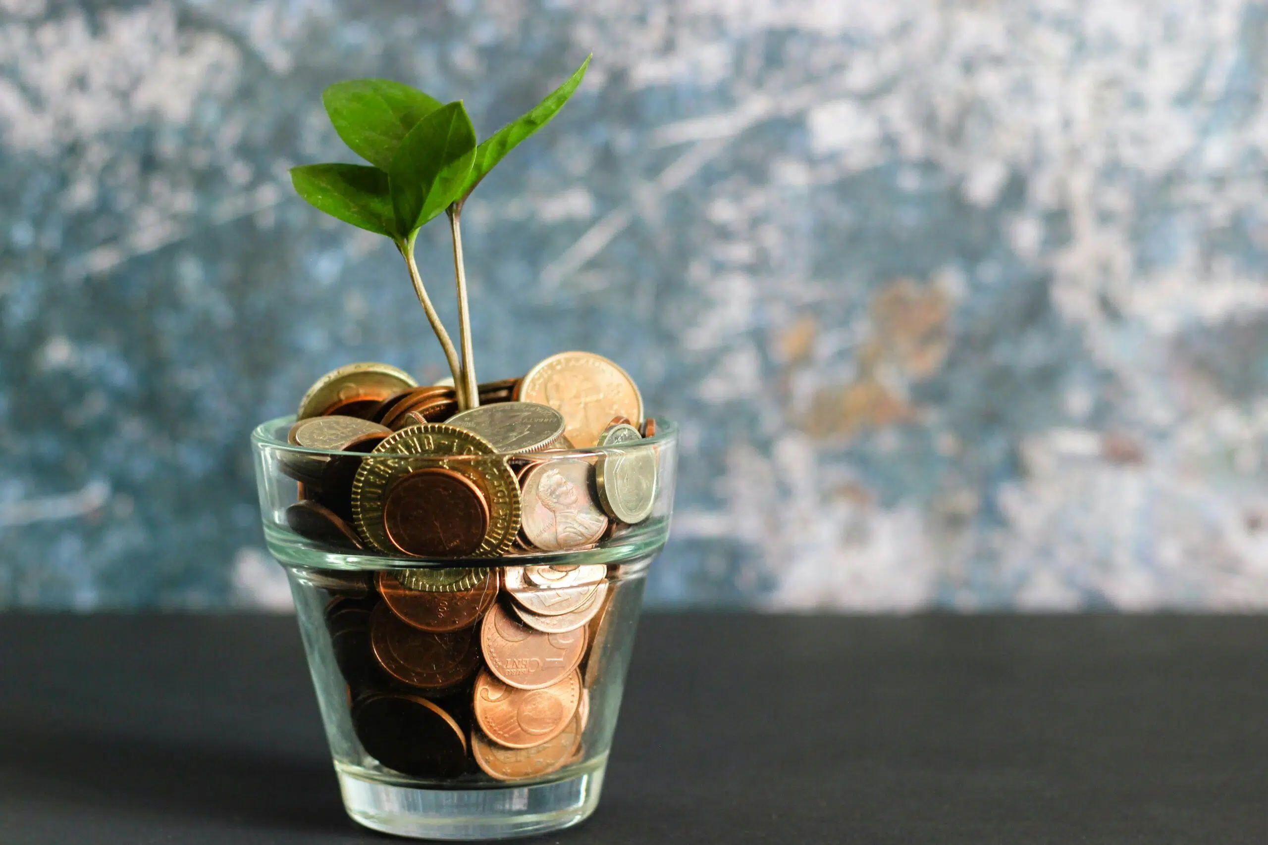 a plant emerging from a jar of coins